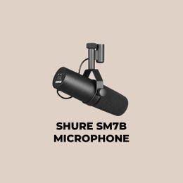 Extra Microphone