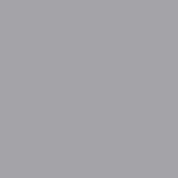 Backdrop — Stone Grey — Seamless