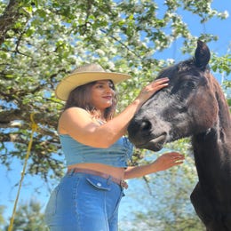 Horses for supervised shoots