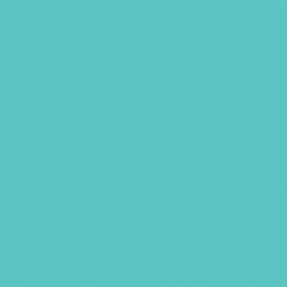 Backdrop — Aqua — Seamless