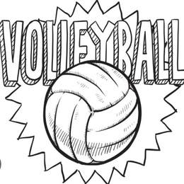 Volleyballs 