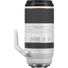 CANON RF 100-500MM F/4.5-7.1 L IS USM LENS