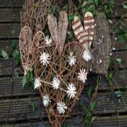 Willow Weaving at Penhein