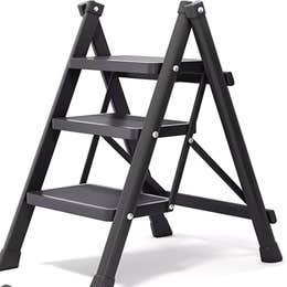 Small Ladder