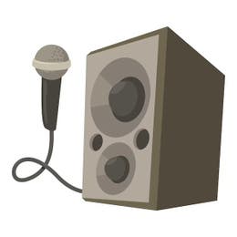 Mic and Speaker