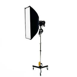 Profoto D2 500 with Softbox(36x24) + Rolling Stand