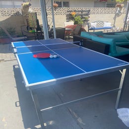Ping pong table