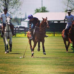 CLUB POLO ARENA MATCH (HORSE LEASE)
