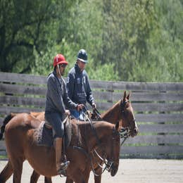 INTRODUCTORY POLO LESSON (TWO HOURS)