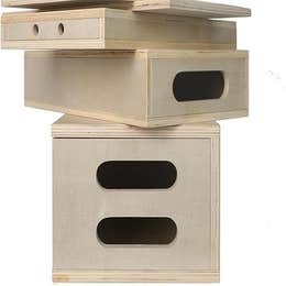 Apple Boxes Family 
