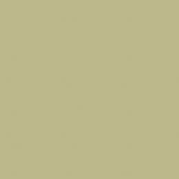 Backdrop — Pistachio — Seamless