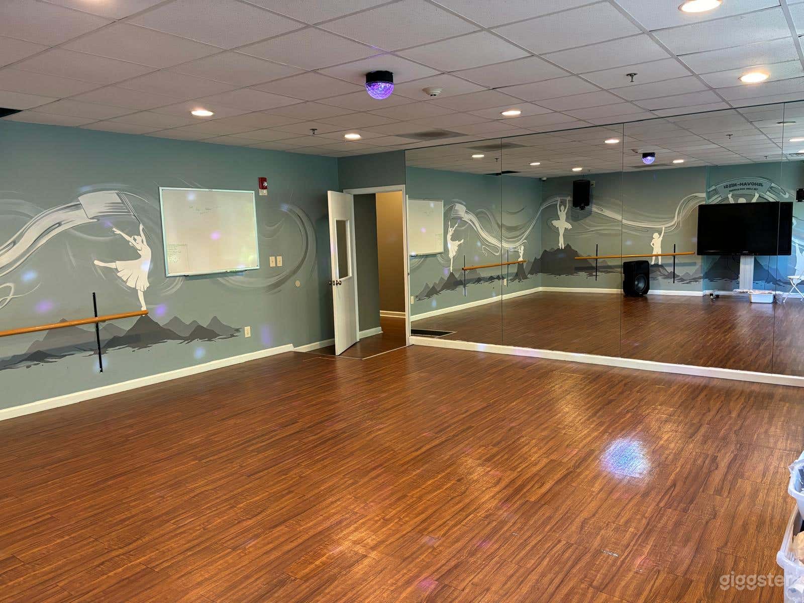 Bright Sunlit Dance Space w/ Disco Light Feature Photo 2