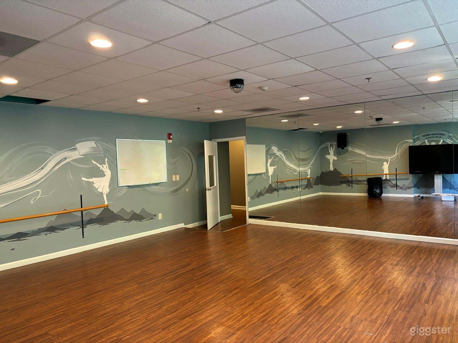 Bright Sunlit Dance Space w/ Disco Light Feature Photo 4