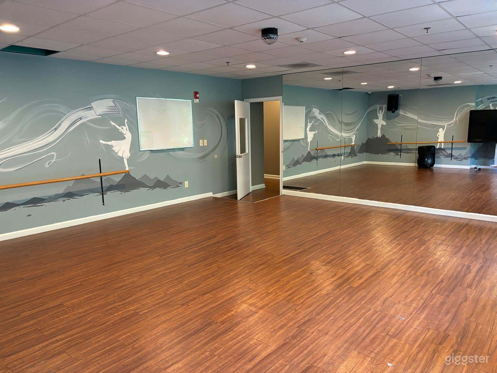 Bright Sunlit Dance Space w/ Disco Light Feature Photo 3