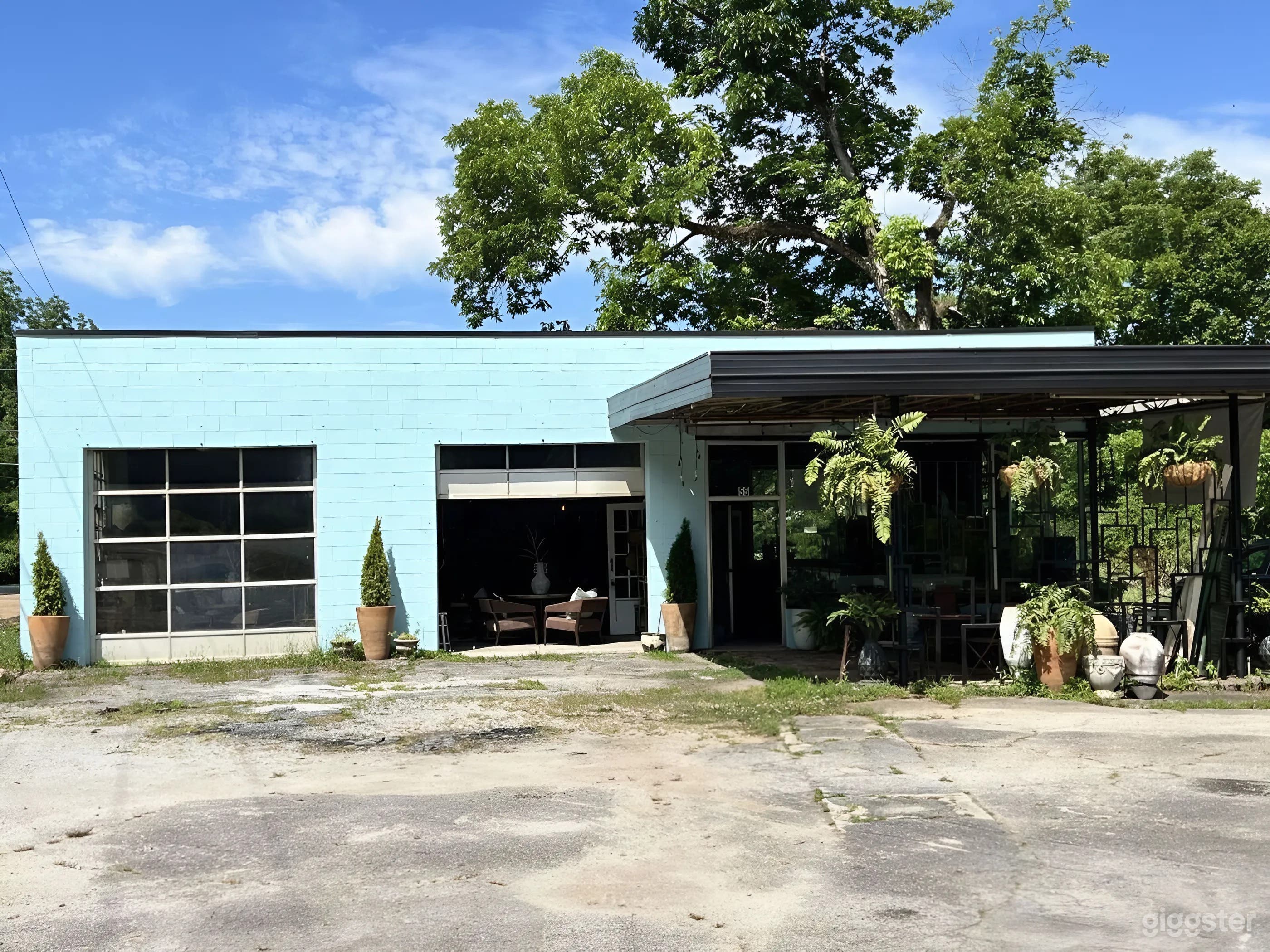 Curated Home and Furnishings in Old Gas Station Photo 1