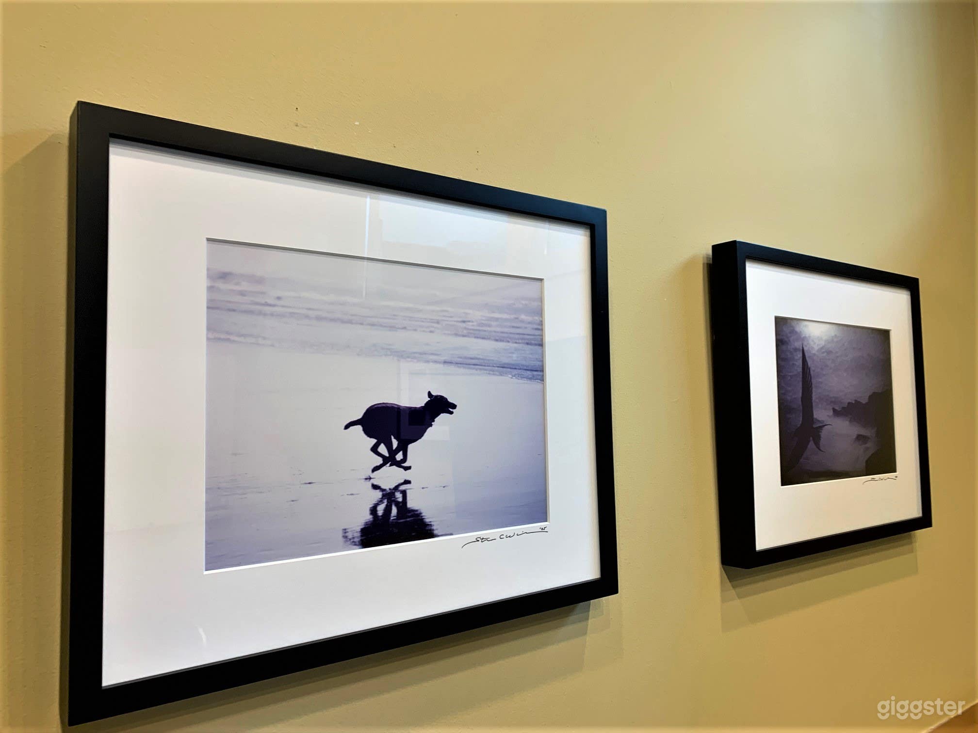 Many photo throughout OfficeXpats, including this Round Table room, include photos by National Geographic-Life-Time magazines photographer, Steve Wilson.