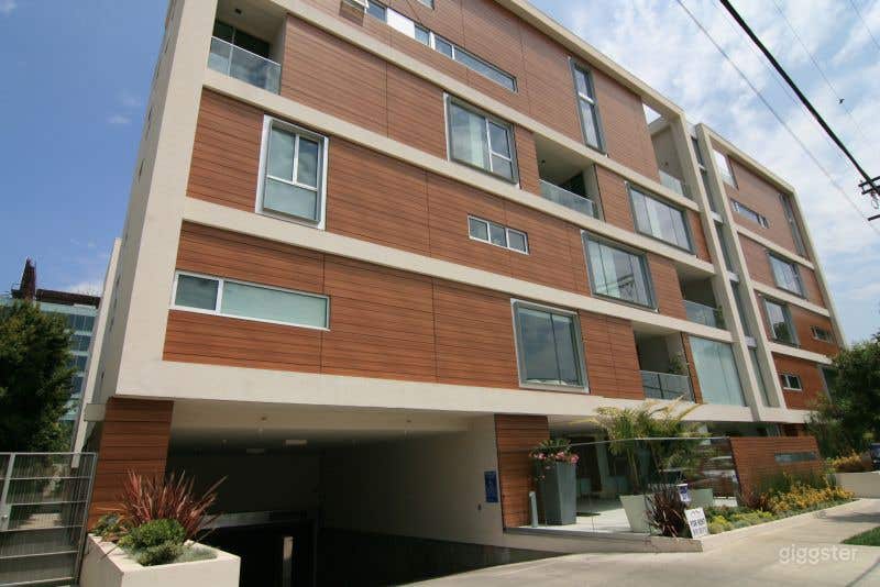 The Hollywood No.409 Photo 3