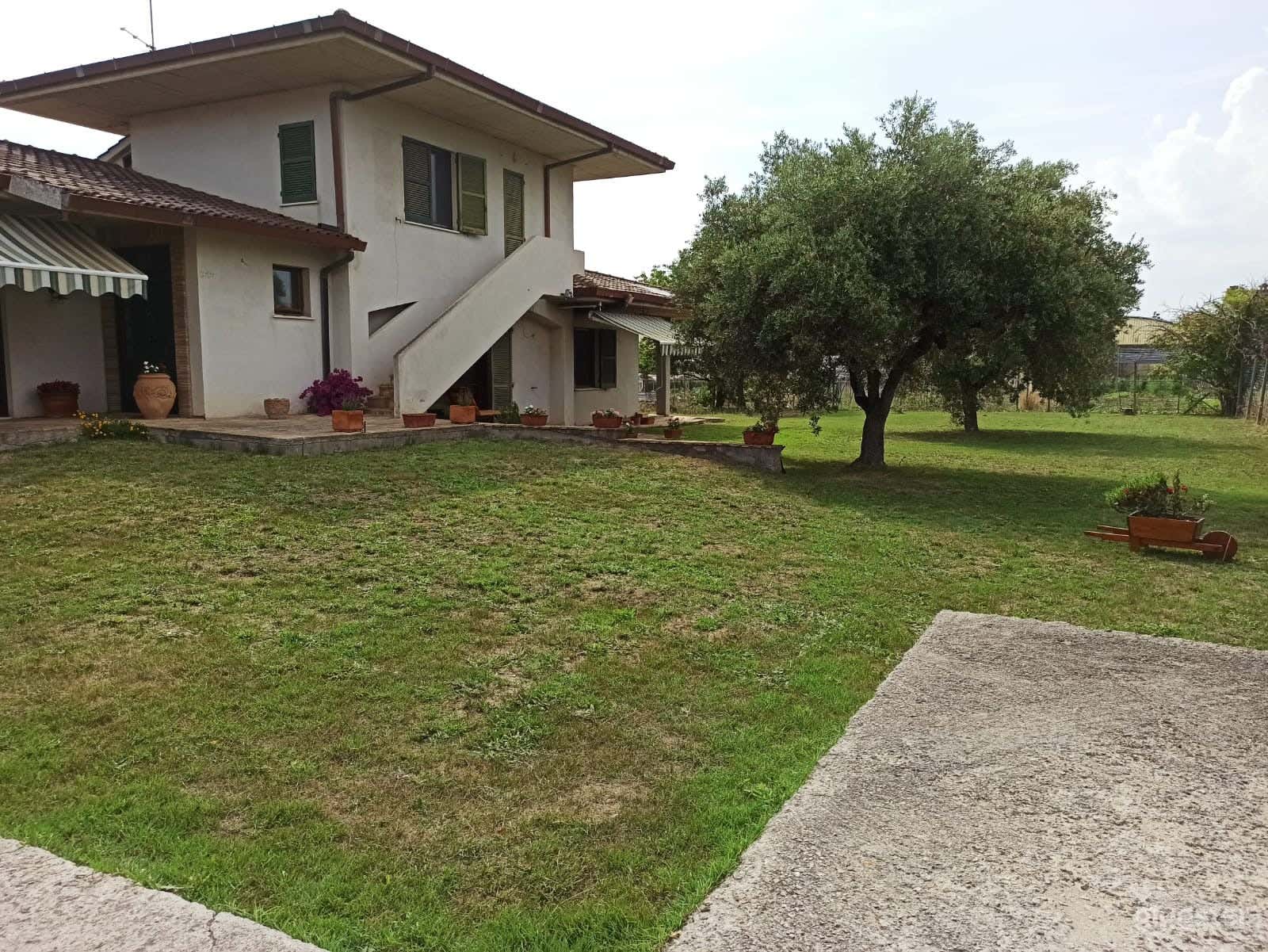 Foto di Magnifico giardino mediterraneo con alberi d'ulivo 4