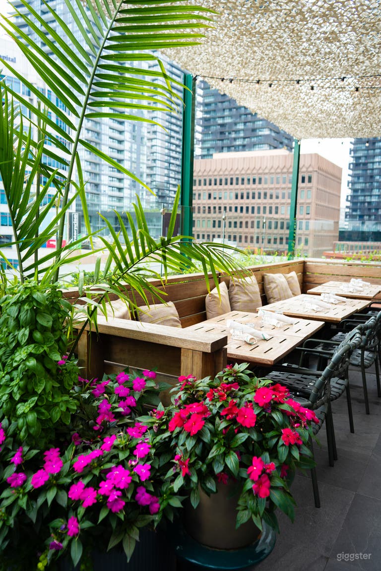  Rooftop patio 