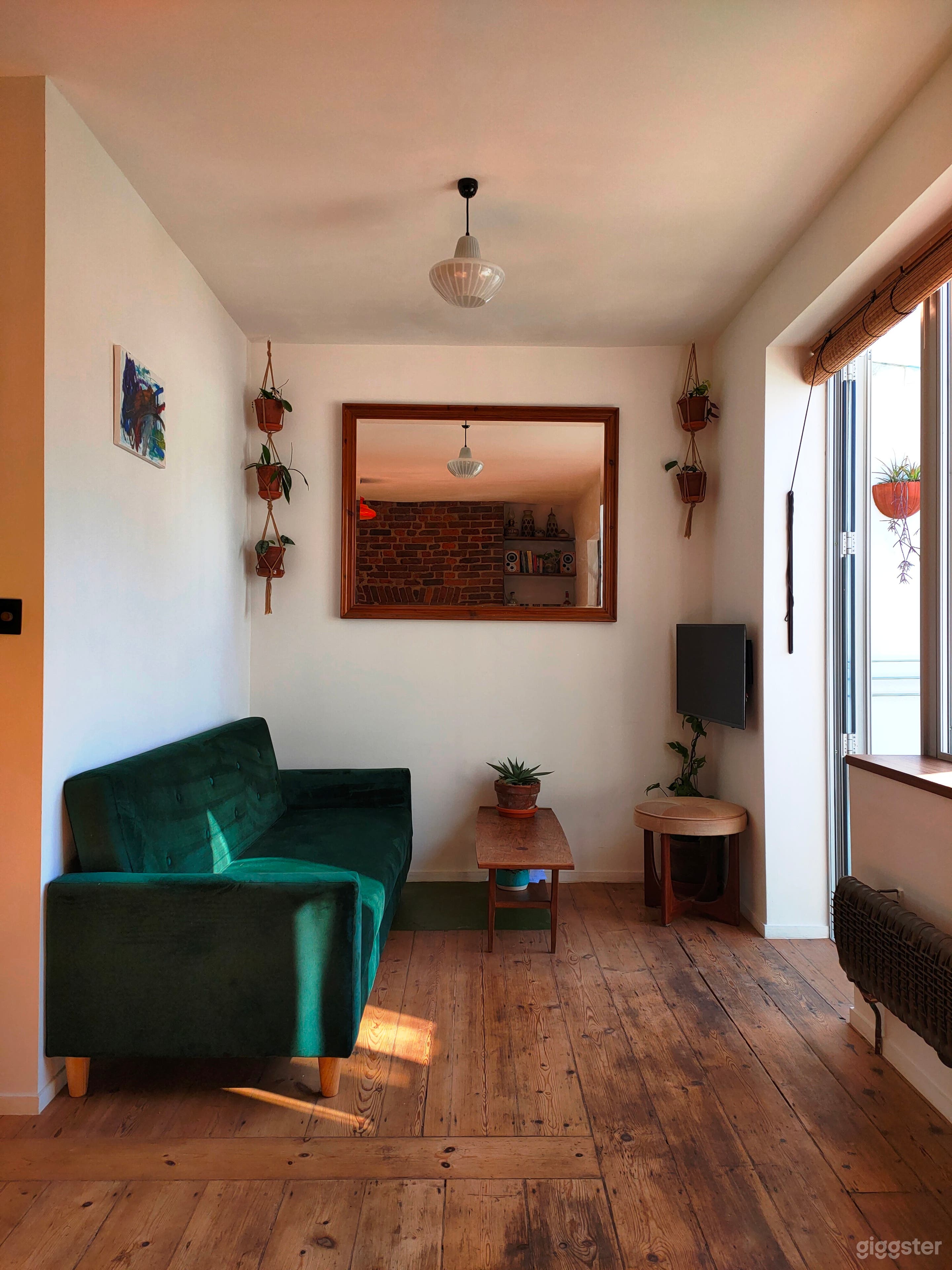 Green velvet sofa bed and hanging plants