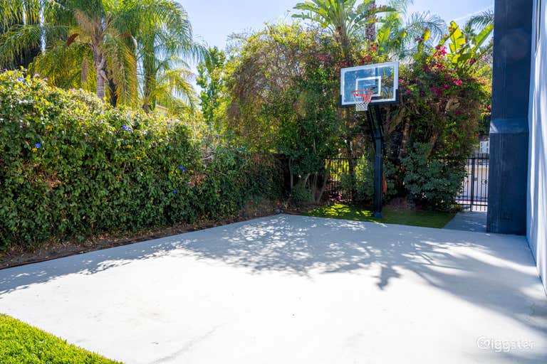  VINTAGE SUBURBAN GEM | BASKETBALL COURT 