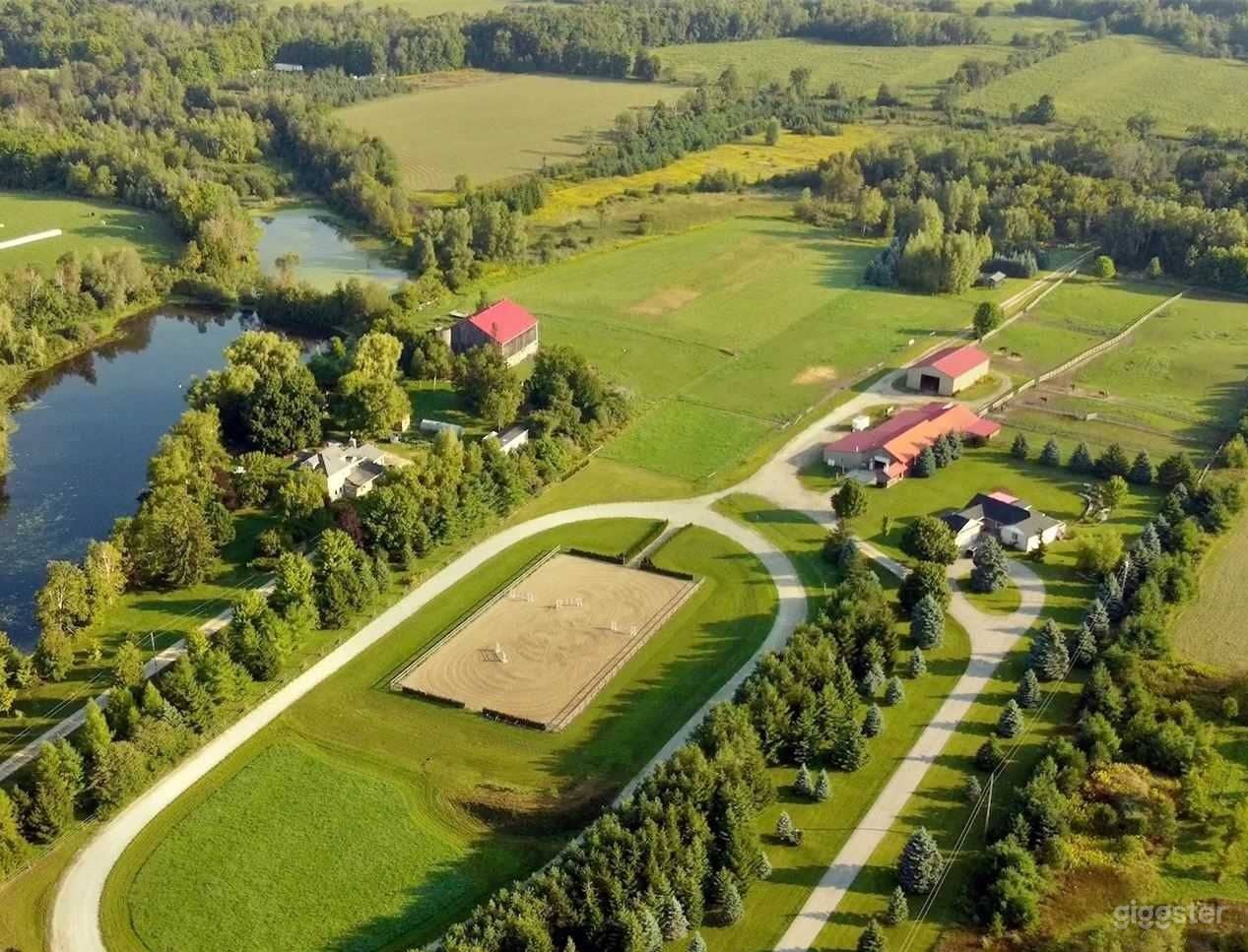 19 acre horses ranch, horses available  Photo 1