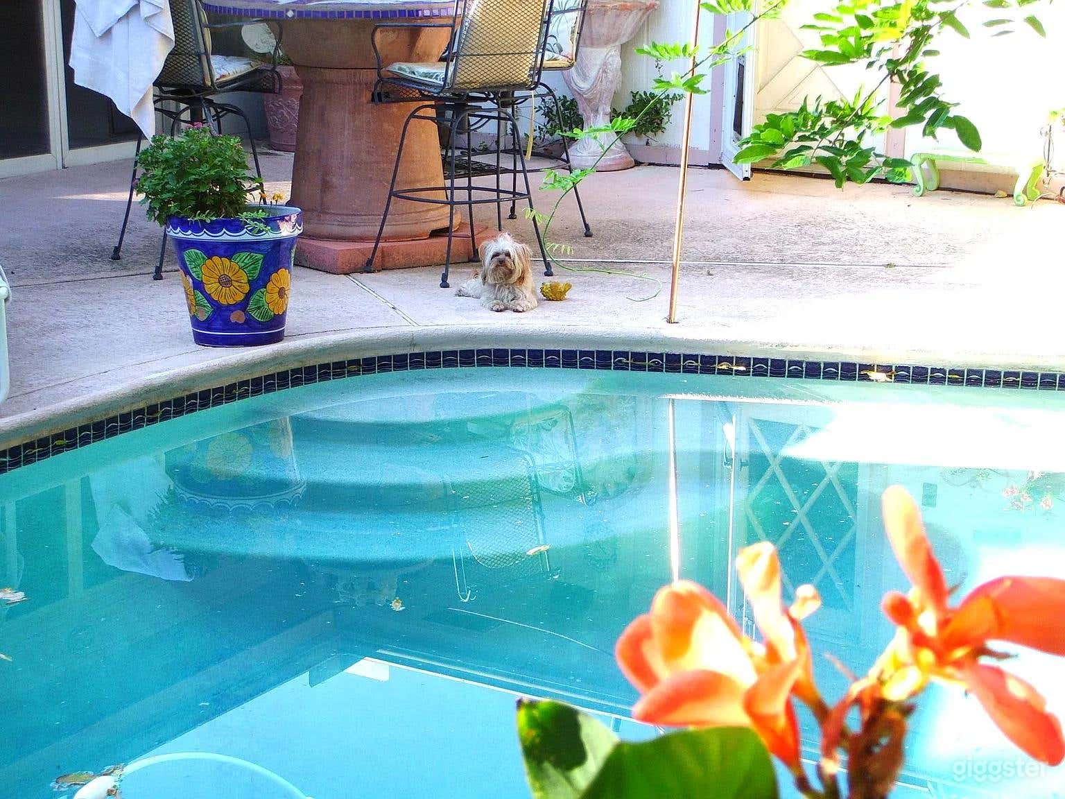 Little Slice of England in Dallas Pool Photo 4