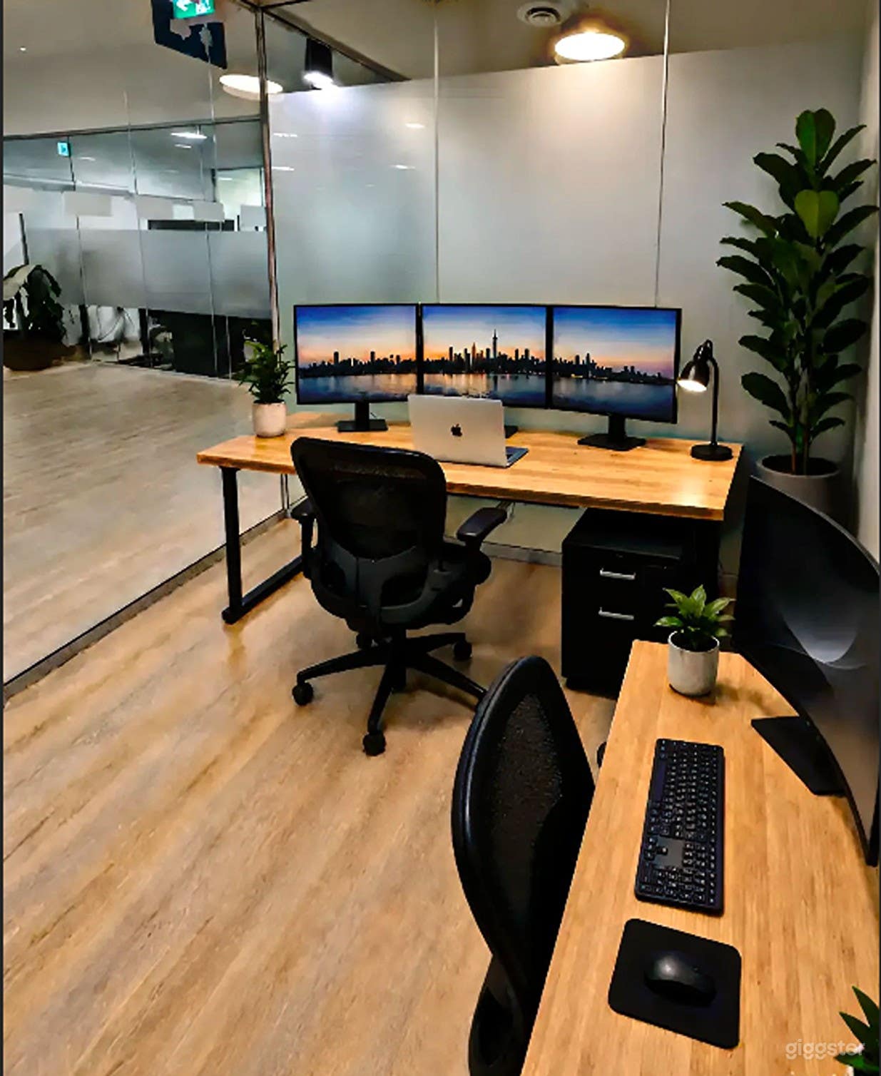 2-Person Fully Furnished Office Photo 1