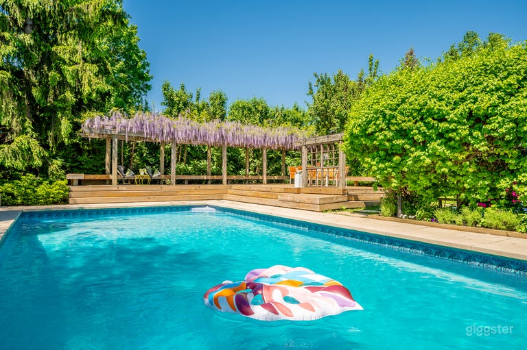  Stunning purple flowers wisteria bloom mid to end of May 
