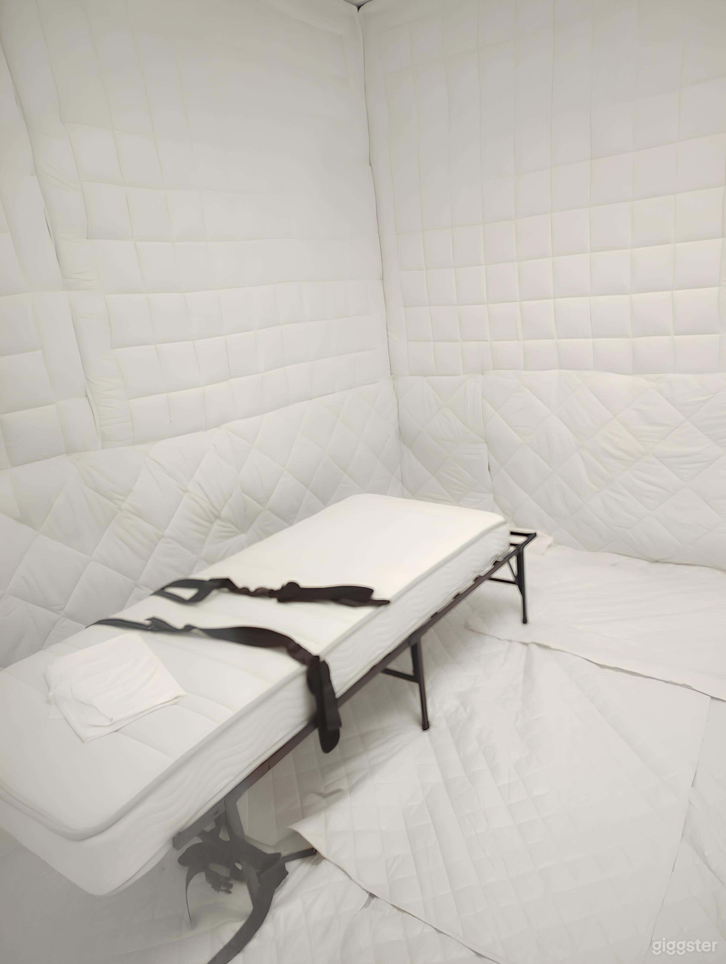 Isolation/Padded Room Photo 2