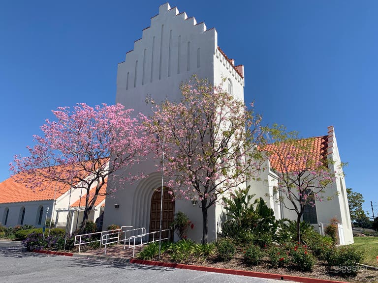  The Danish Lutheran Church 