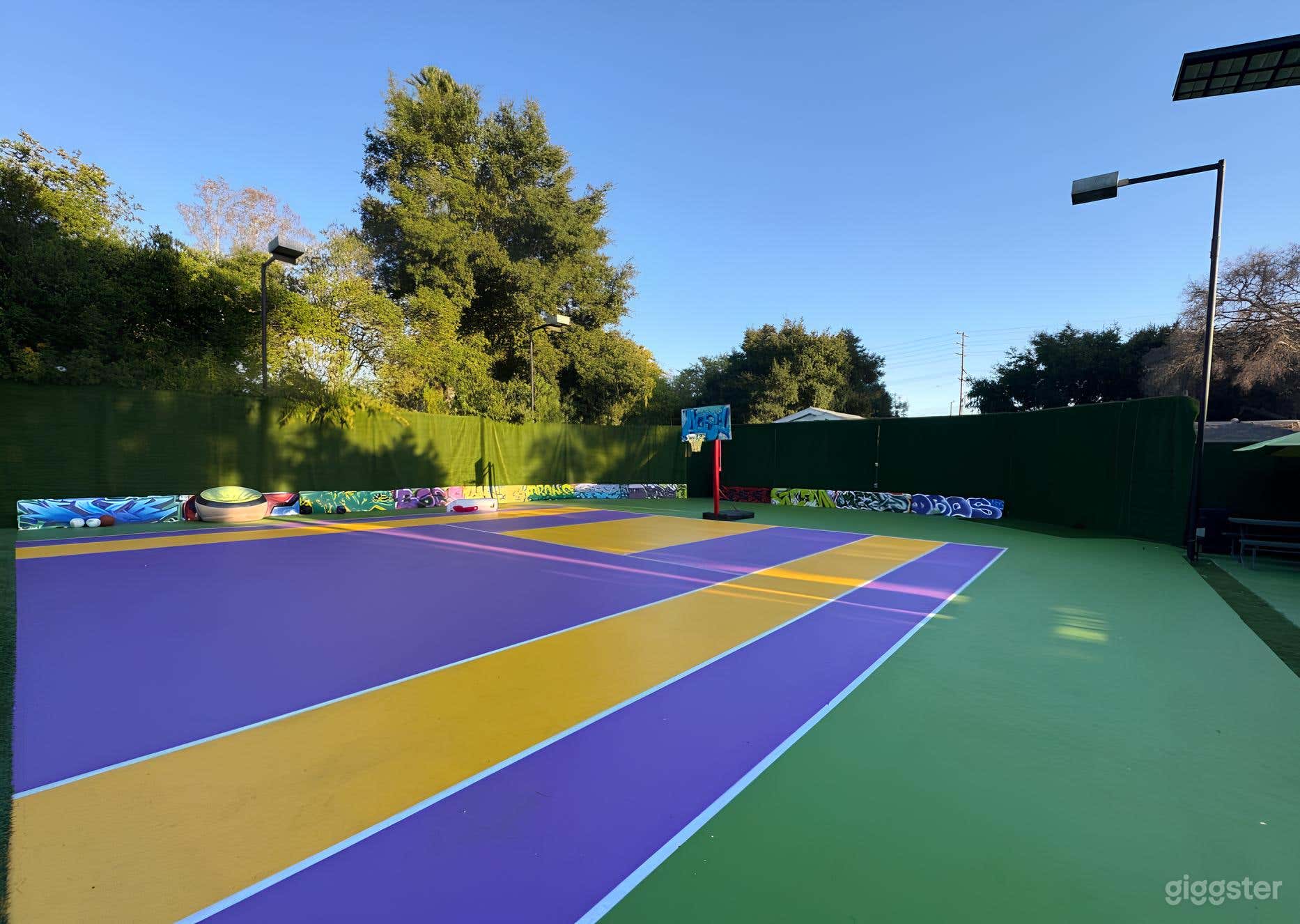 Custom Half Basketball Court for Filming Photo 1