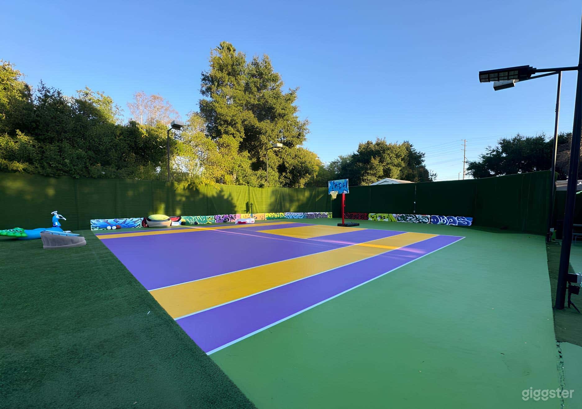 Custom Half Basketball Court for Filming Photo 3
