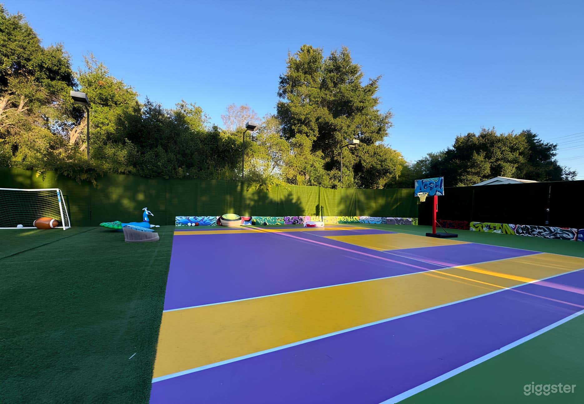 Custom Half Basketball Court for Filming Photo 2