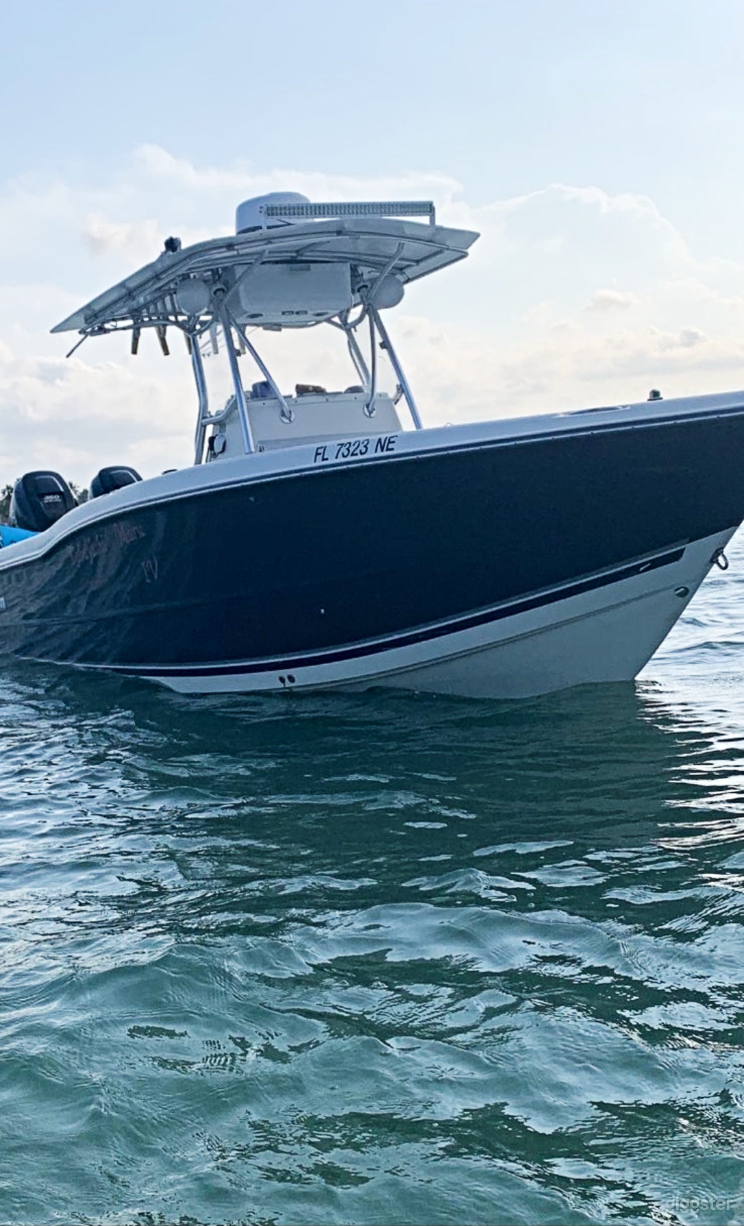 29' Triton Console Fishing Boat Photo 3