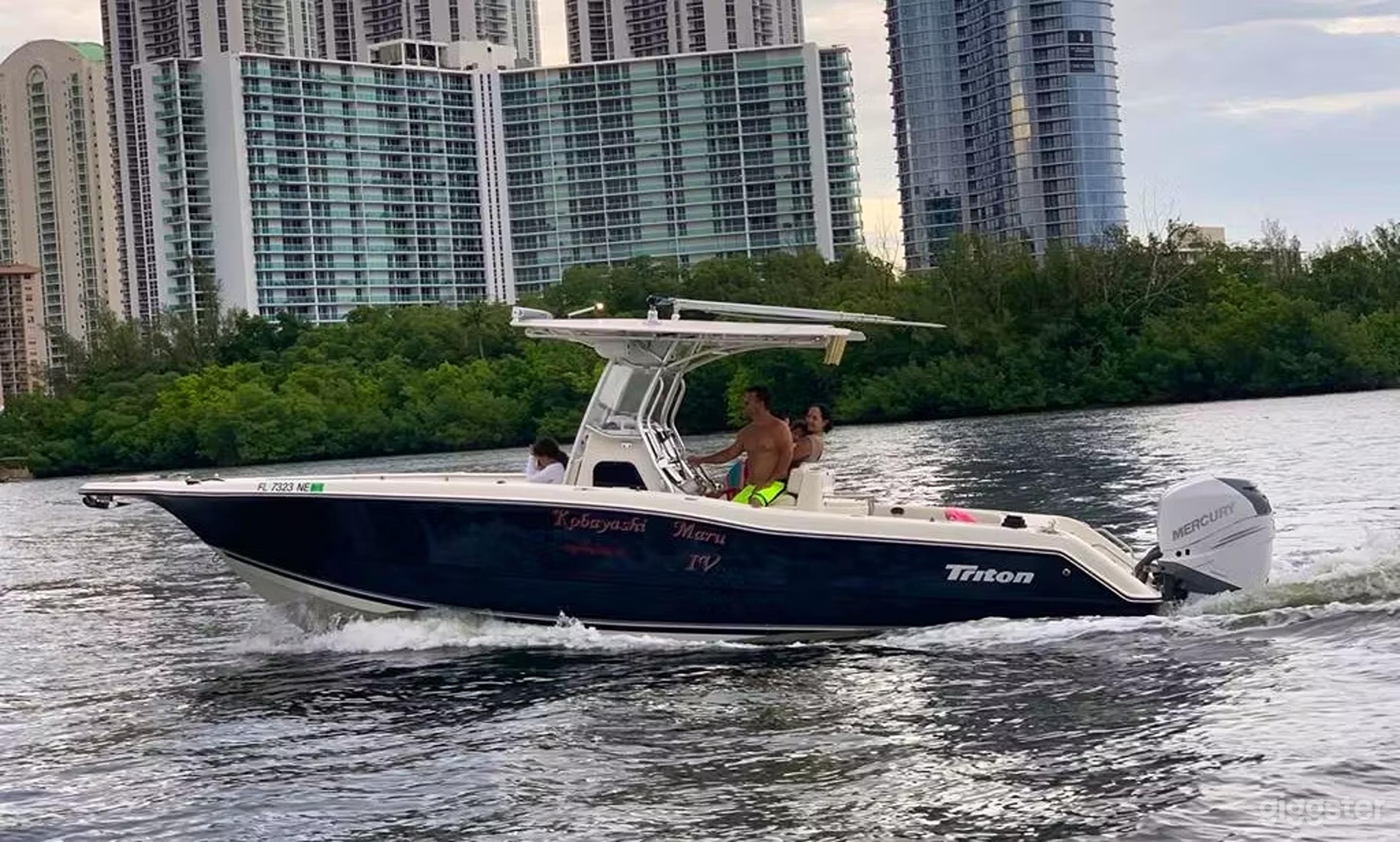 29' Triton Console Fishing Boat Photo 1