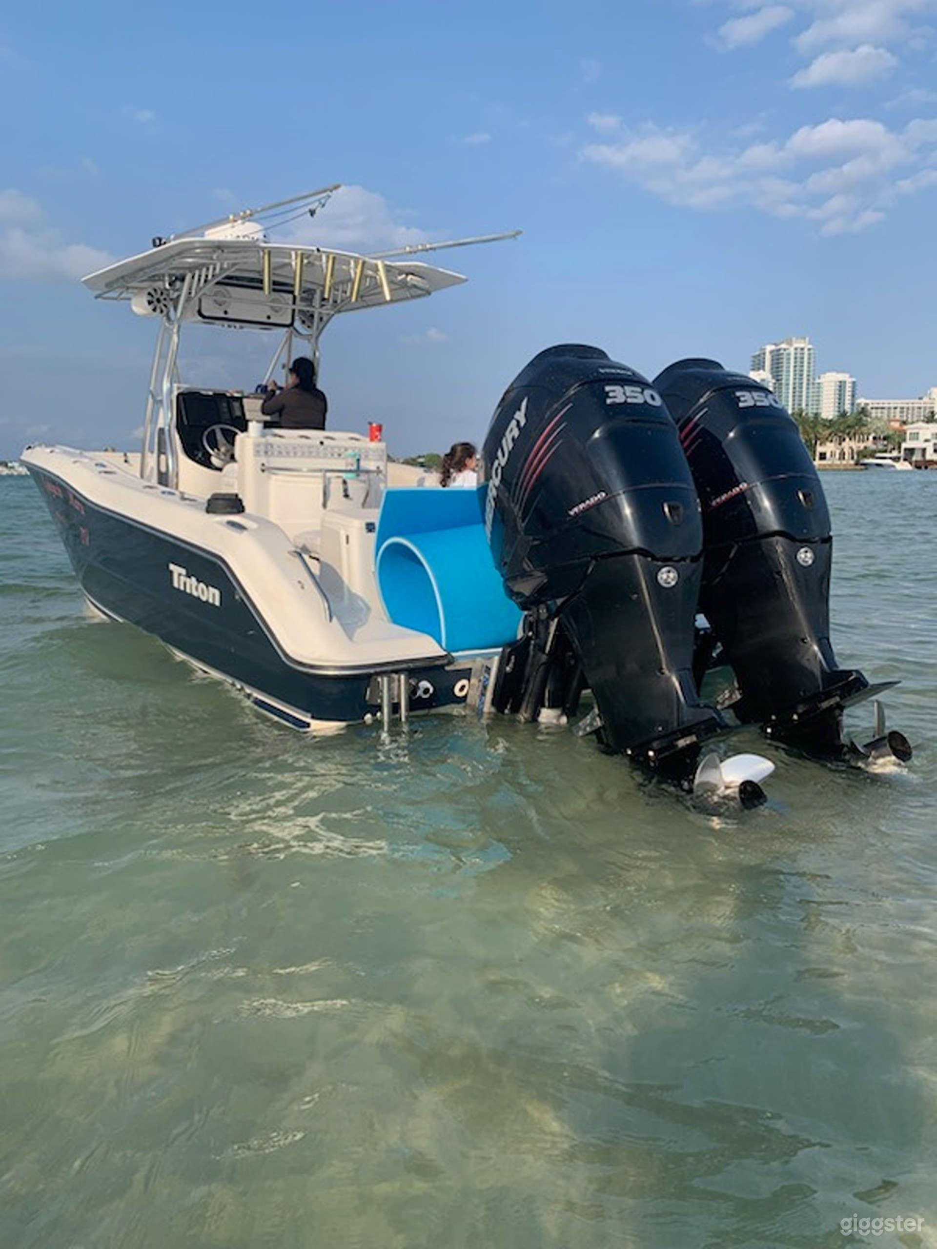 29' Triton Console Fishing Boat Photo 2