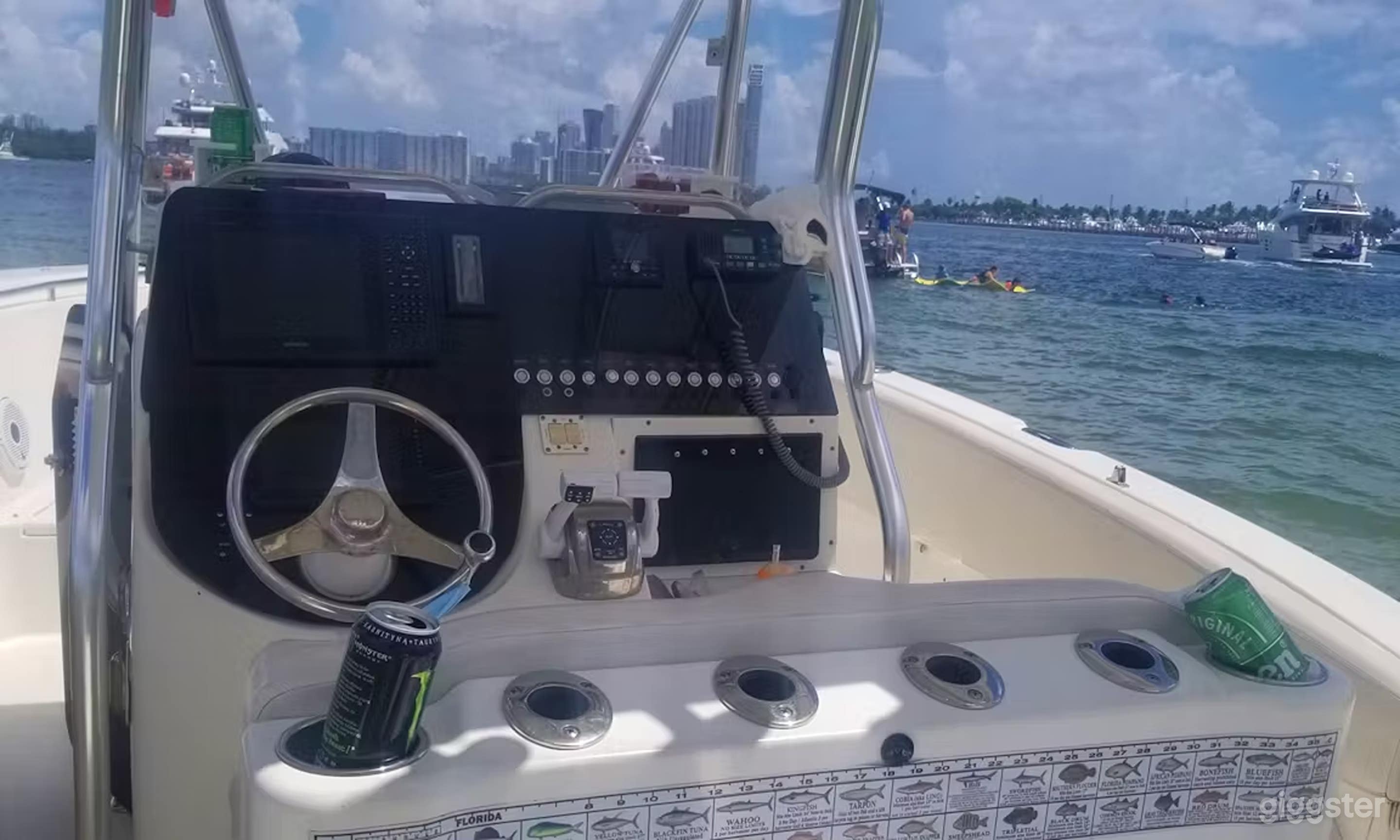 29' Triton Console Fishing Boat Photo 4