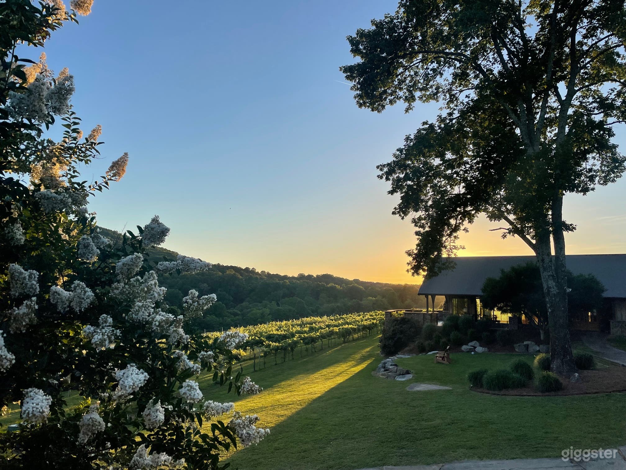 View from patio to main house