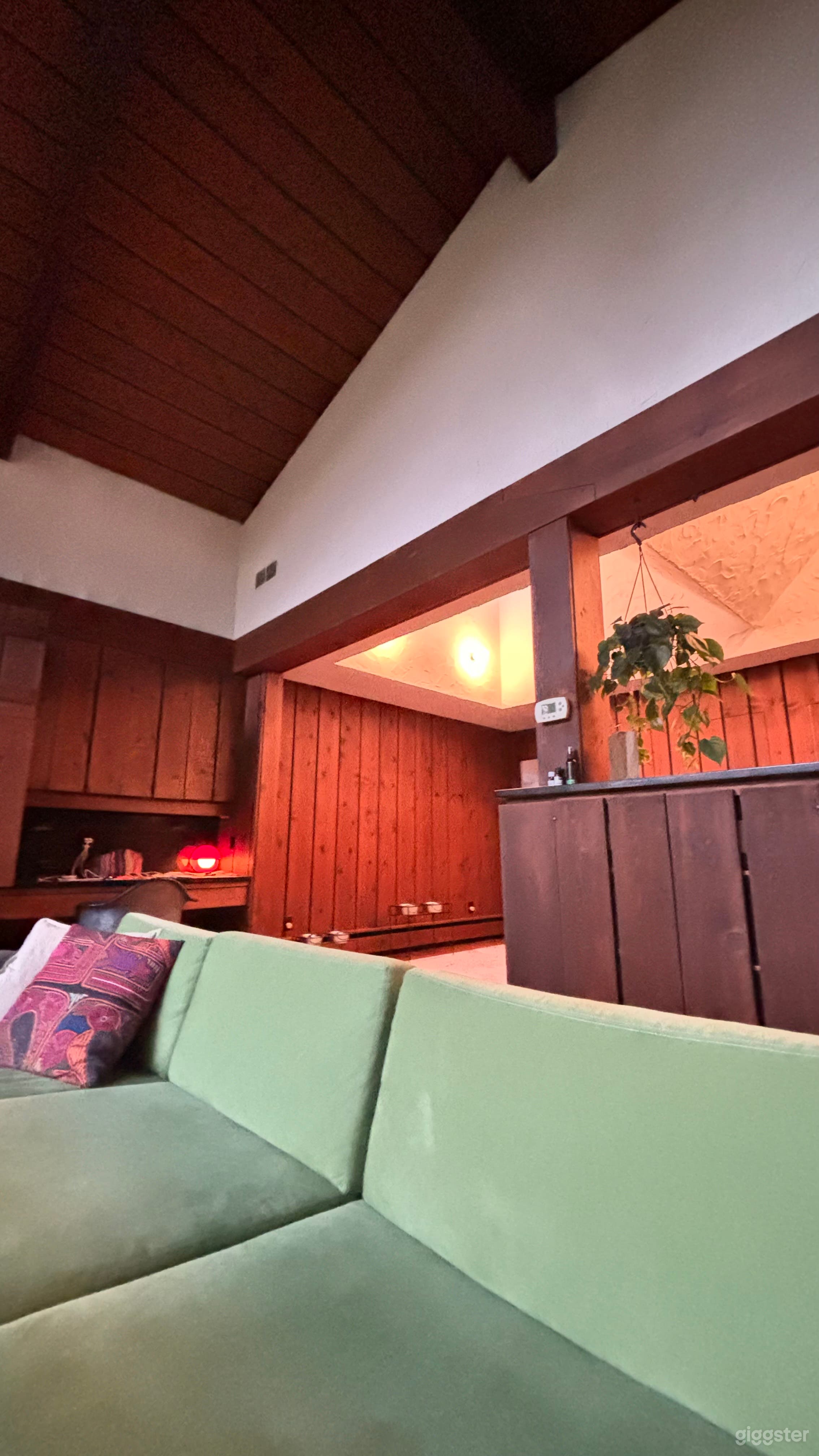 Unique Mid-Century Modern Home Photo 3