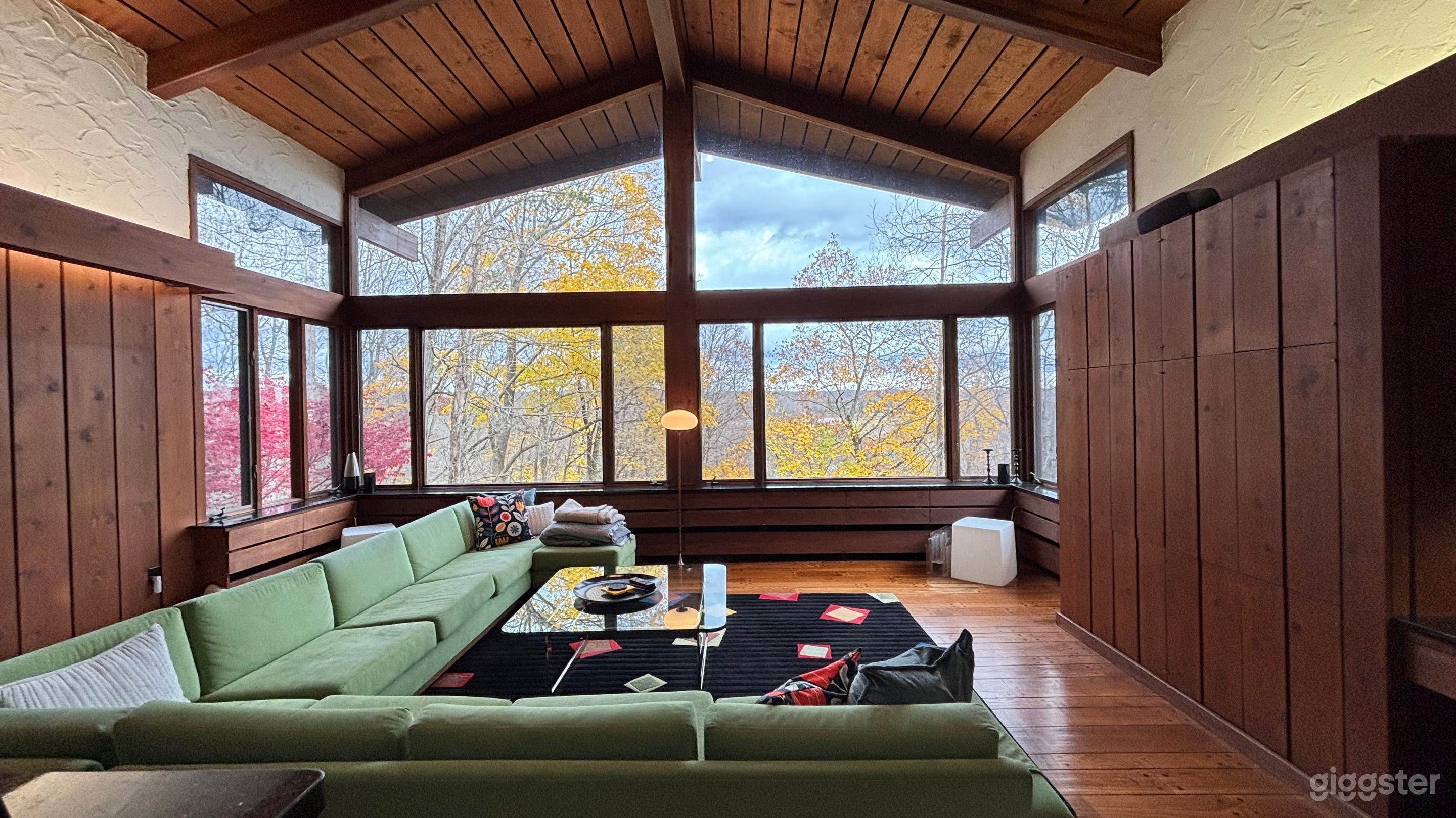 Unique Mid-Century Modern Home Photo 1