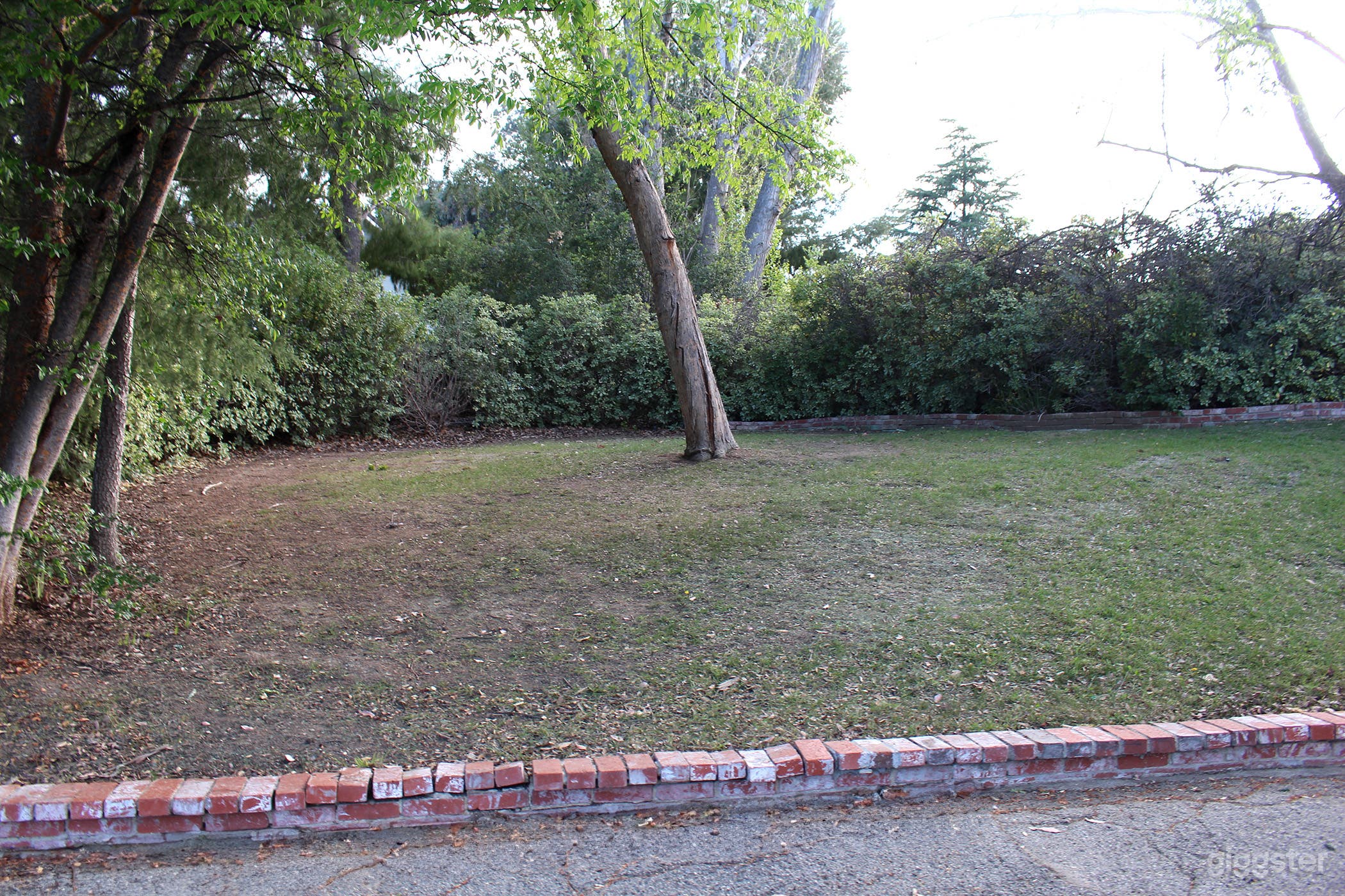 Left side of front yard