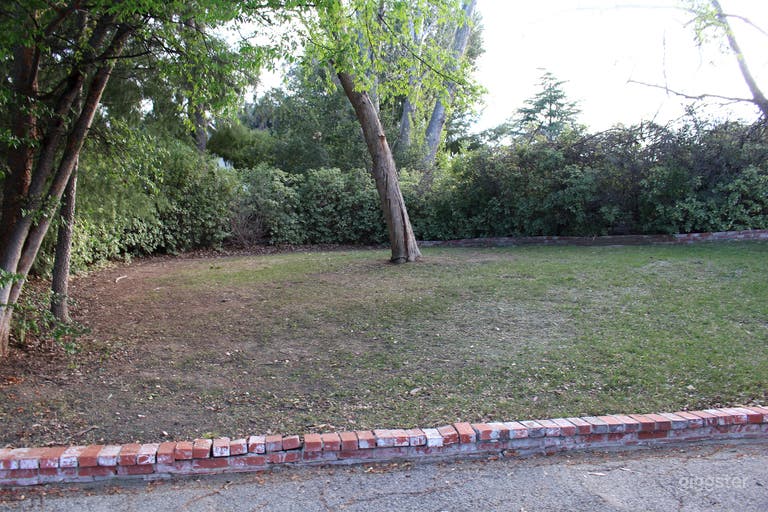  Left side of front yard 