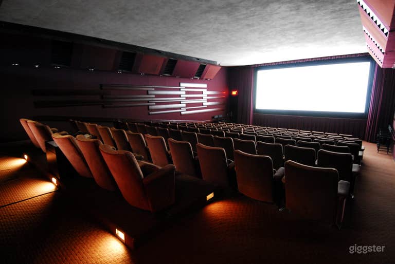  Movie Theater with Bar & Lounge 