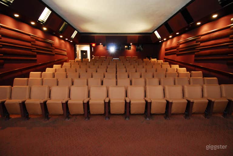  Movie Theater with Bar & Lounge 