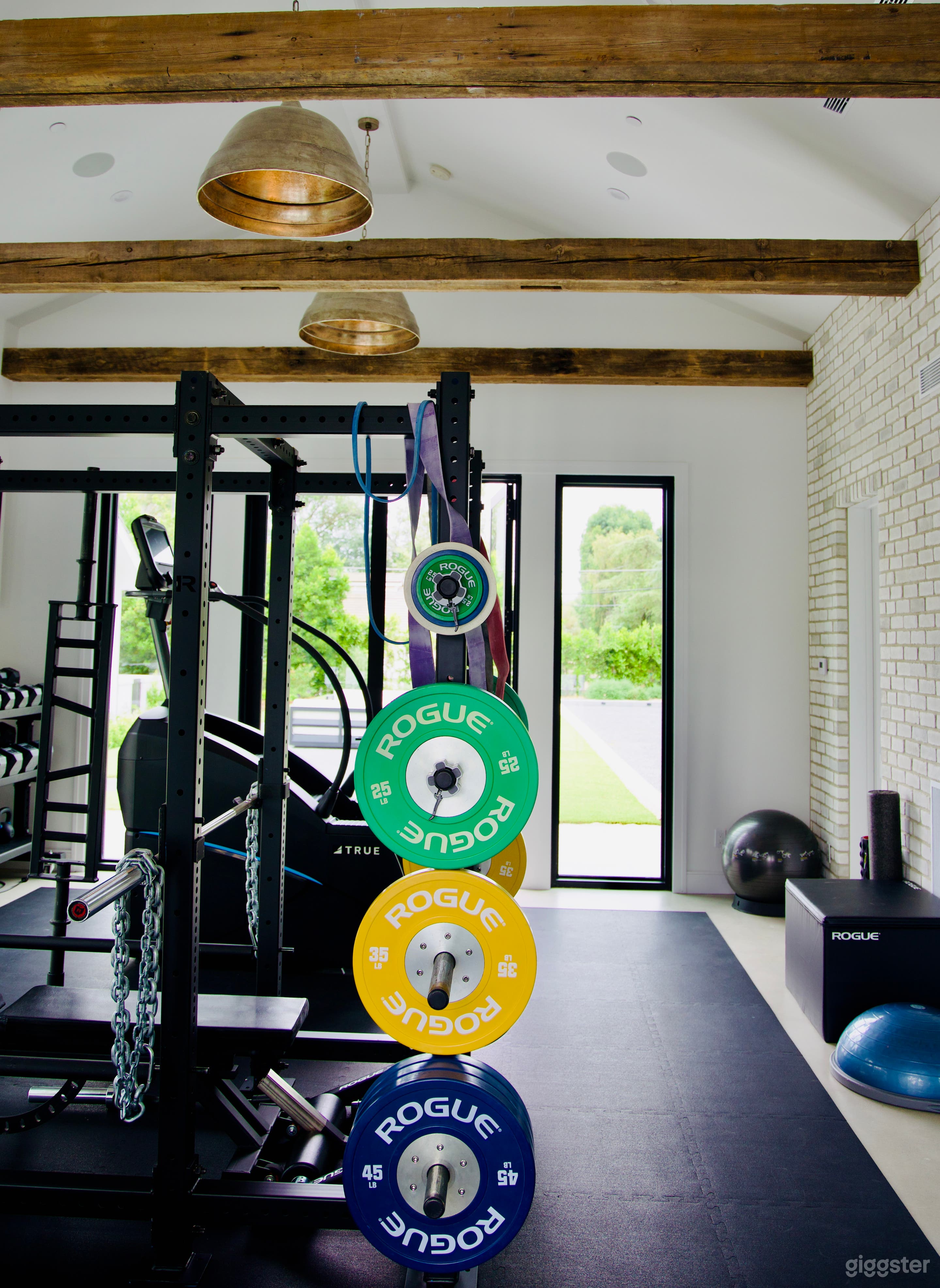 Modern Home Gym  Photo 3