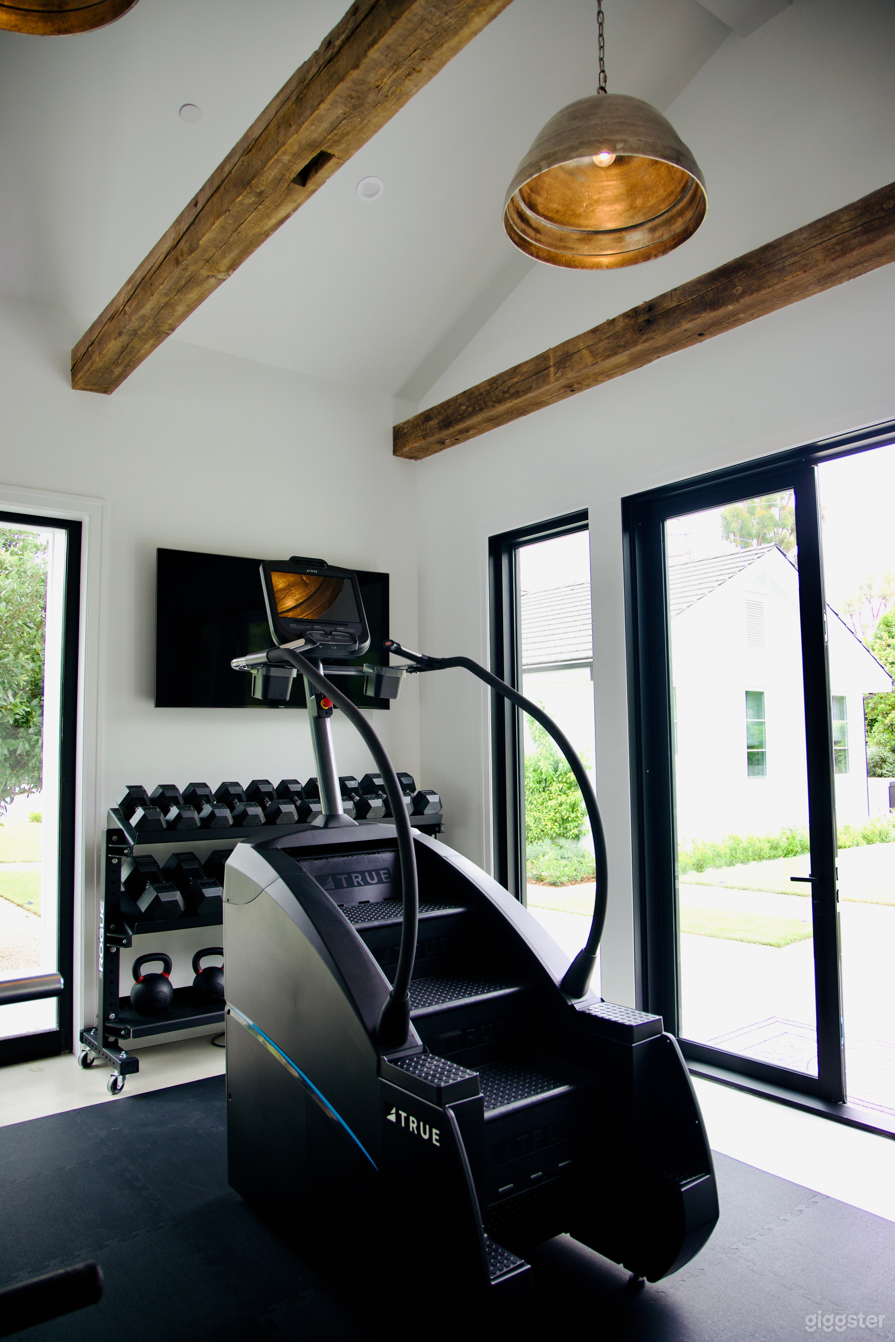 Modern Home Gym  Photo 4