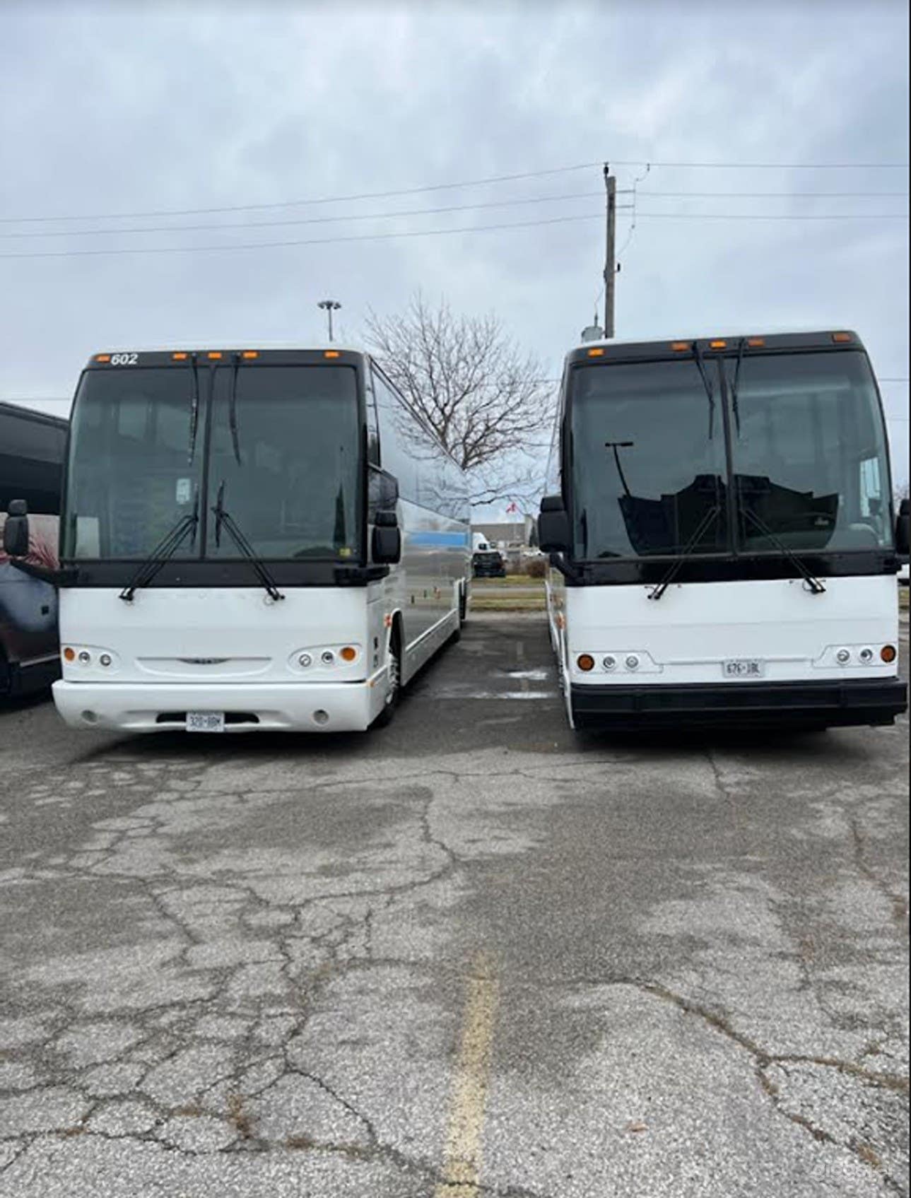 Elegant And Luxurious Coach Bus Photo 1