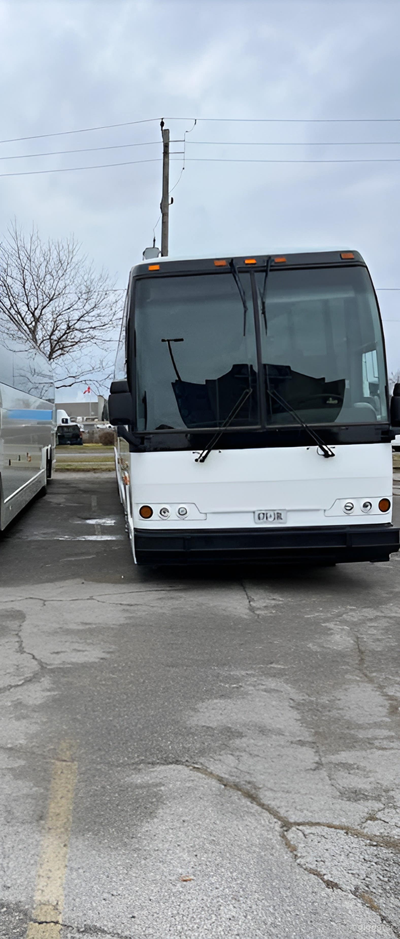 Elegant And Luxurious Coach Bus Photo 2