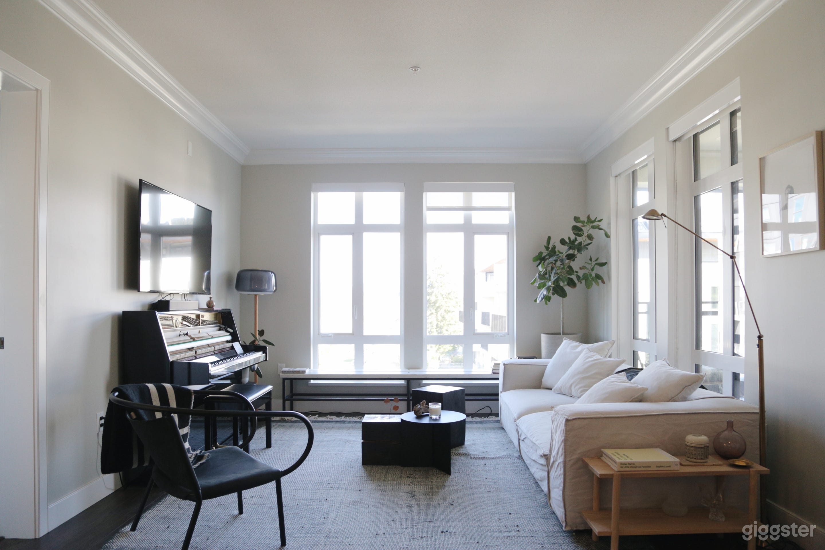 Stylish and Spacious Apartment Photo 1